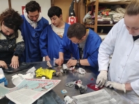 Samenwerking met Buso-scholen